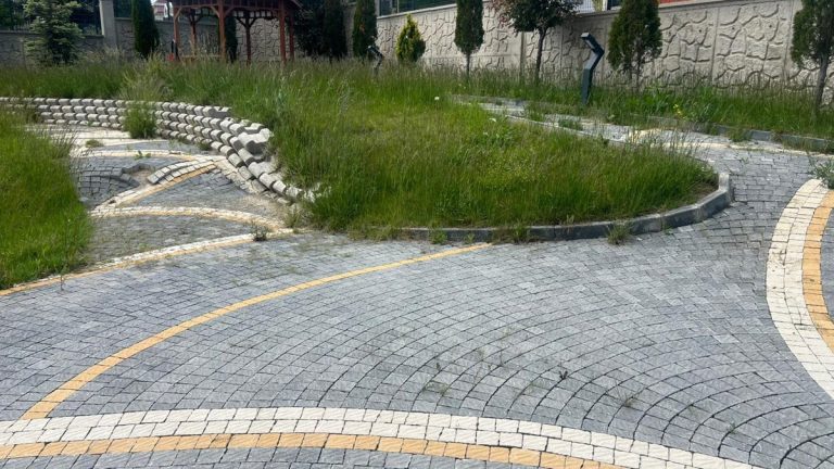 Çim alanla birleşen yay desenli parke taşı yol ve çim bordür kenarı