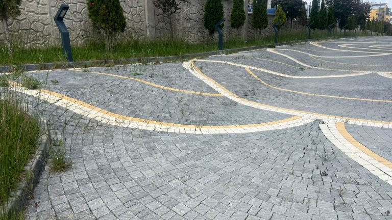 Çim kenarında derzlerinde yer yer ot görülen yay desenli kilit taşı yürüyüş yolu