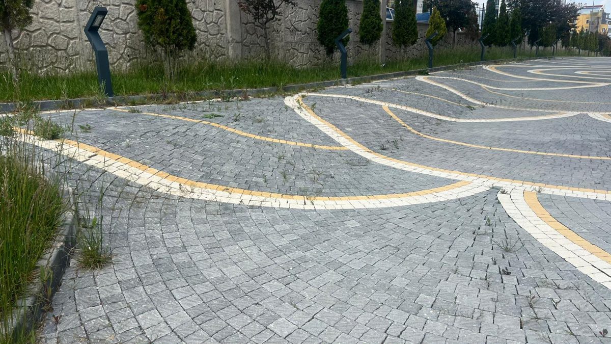 Kilit Taşı Arasından Ot Çıkması: Nedenleri, Önleme ve Temizlik